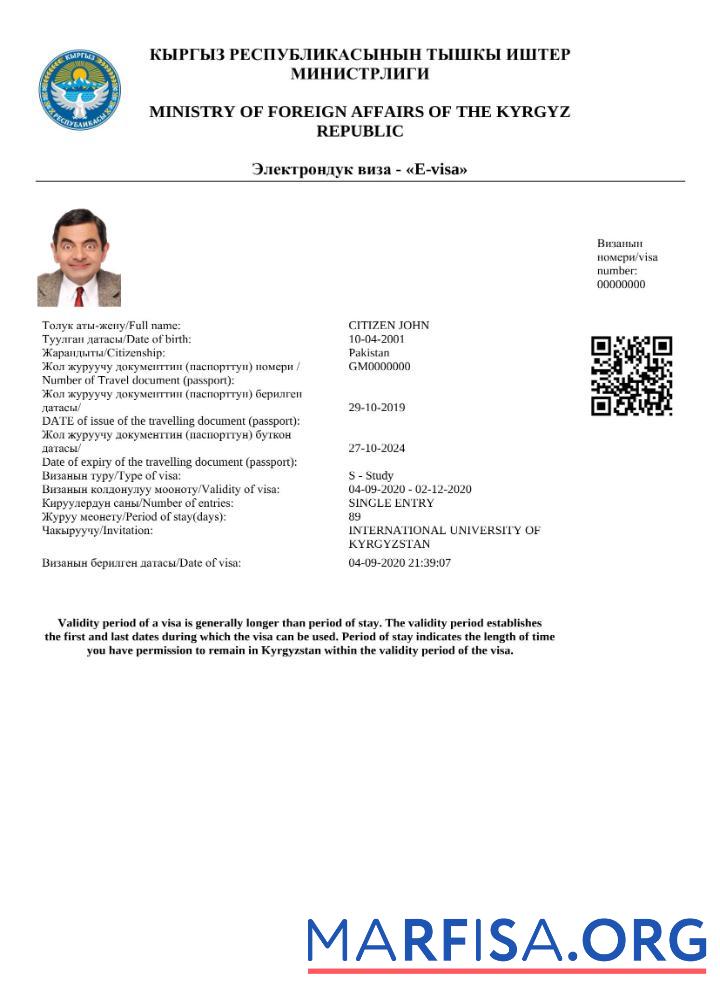 Blank Kyrgyzstan e visa Word and Pdf template